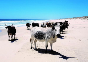 Wamakersvlei Beach Farm